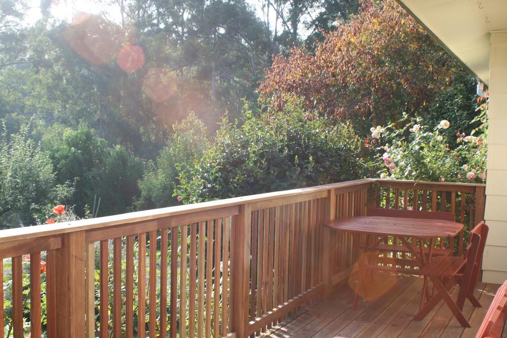 Strathmore Farm B&B Mirboo North Экстерьер фото